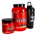 Kit Creatina 300g, Whey protein pote 900g e Coqueteleira 1L - Integral Médica